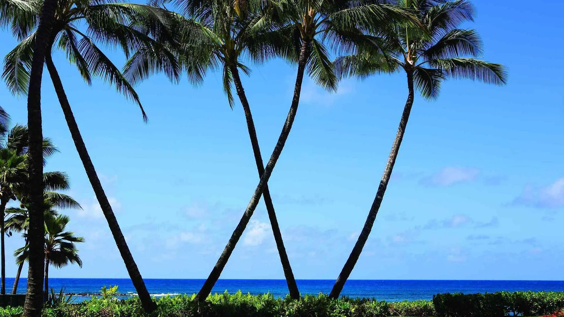 Hotel Marriott'S Waiohai Beach Club Koloa