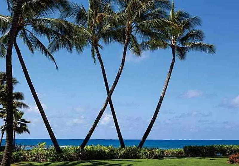 Marriott'S Waiohai Beach Club Koloa United States