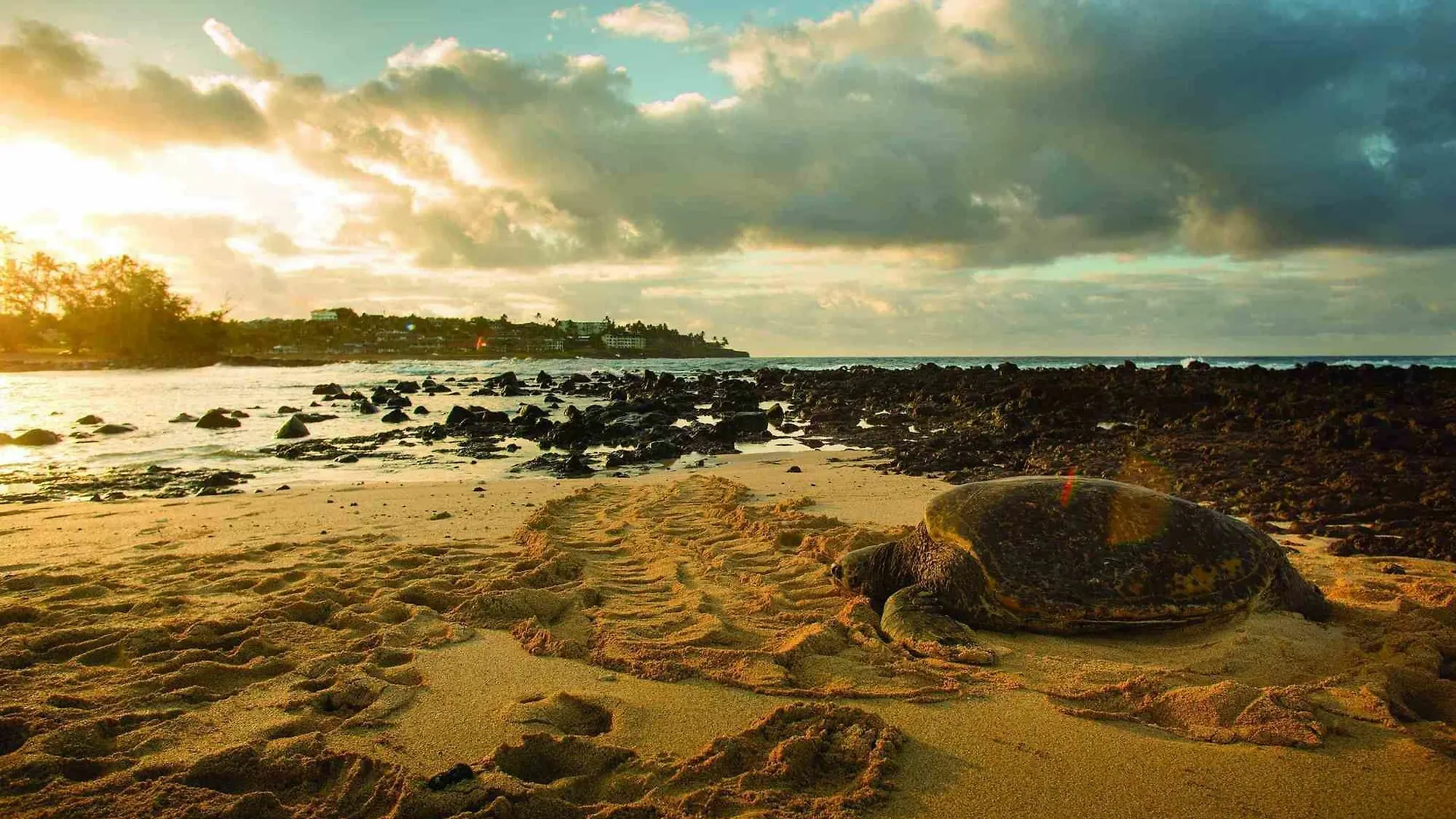 Marriott'S Waiohai Beach Club Koloa United States